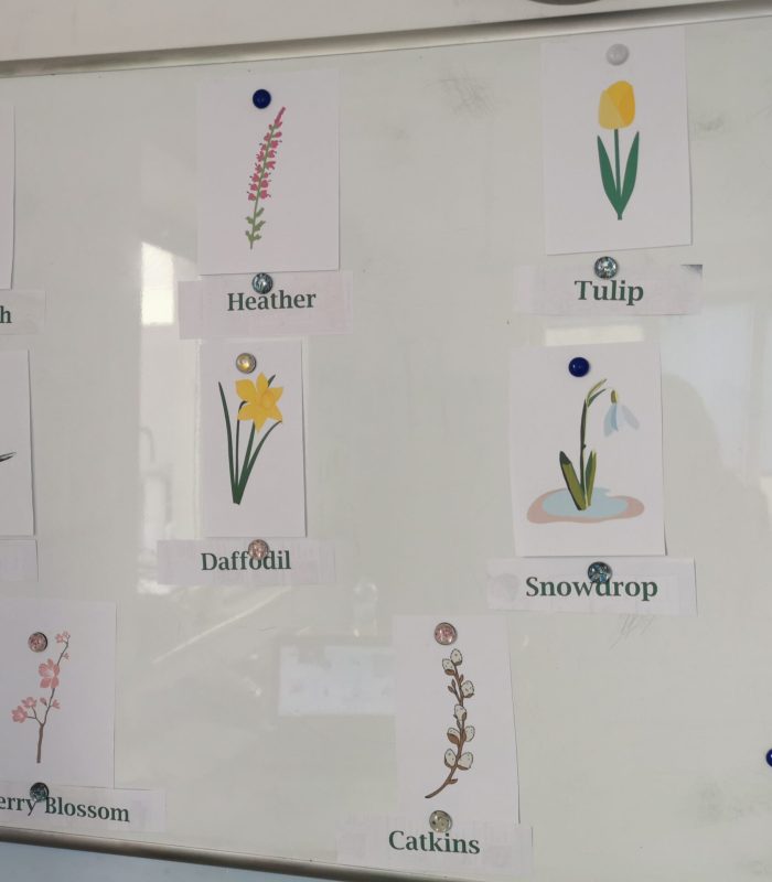 Displaying my soft spot for fun whiteboards (and flowers!)