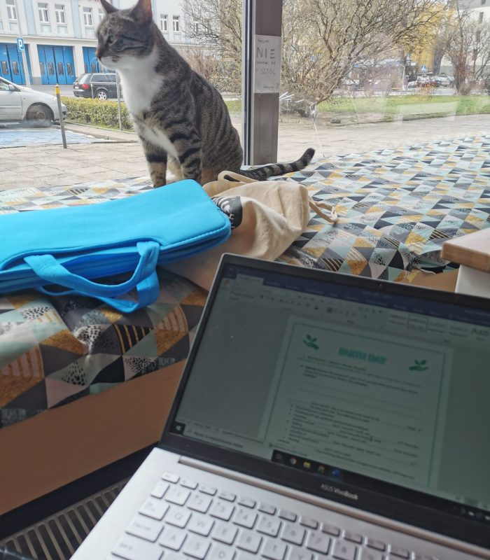 Creating my very first worksheets in a cat cafe