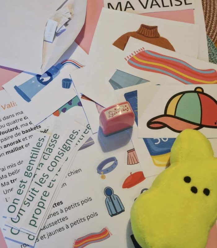 A picture called "What's in my bag" (or should I say... suitcase?)